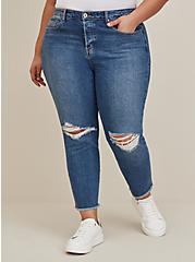 Plus Size Straight Classic Denim High-Rise Jean, FLYING AWAY, hi-res