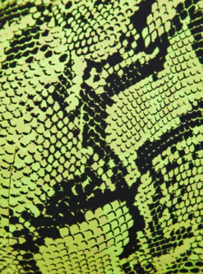 lime green snakeskin bathing suit