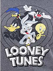 Tunic Hoodie - Warner Bros. Looney Tunes Logo Heather Grey, MEDIUM HEATHER GREY, alternate