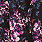 Georgette Hi-Low Pullover Long Sleeve Blouse, FLORAL BLACK, swatch
