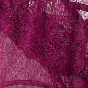 Plus Size XO Cheeky Panty - Dot Lace Purple, PLUM CASPIA, swatch