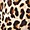 Front-Closure Lightly Lined T-Shirt Bra - Microfiber & Crochet Leopard with Racerback, FRIDA LEOPARD BLACK, swatch
