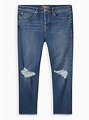 Plus Size High-Rise Straight Jean – Button Fly, FLY AWAY, hi-res