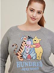 Disney Winnie the Pooh Friends Cotton Crew Neck Raglan Sleeve Top, GREY, alternate
