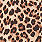 Second Skin Mid-Rise Cheeky Panty, FIFTIES LEOPARD BEIGE, swatch