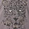 Leopard Relaxed Fit Polyester Scoop Neck Long Sleeve Drop Shoulder Tee, TORNADO, swatch